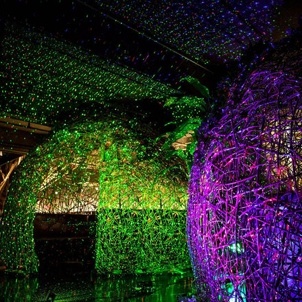 LEDMall Acquired www.laserchristmaslights.com